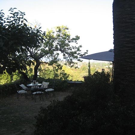 B&B Villa Panicucci ลีวอร์โน ภายนอก รูปภาพ