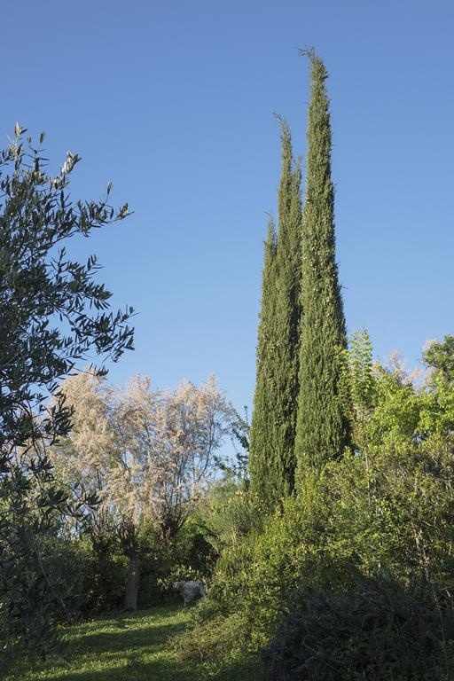 B&B Villa Panicucci ลีวอร์โน ภายนอก รูปภาพ